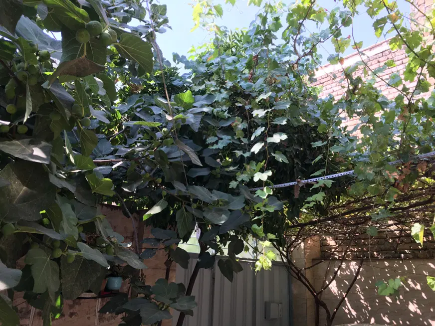 منزل ویلایی گلدشت غربی