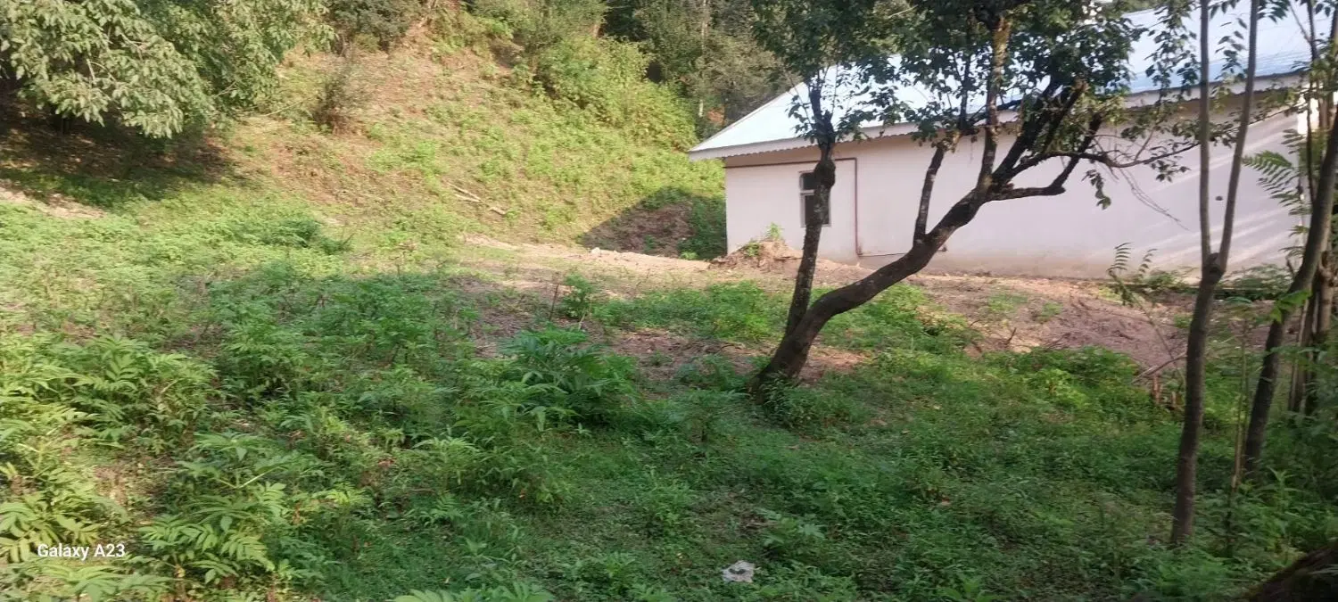 زمین۸۰۰متری مسکونی