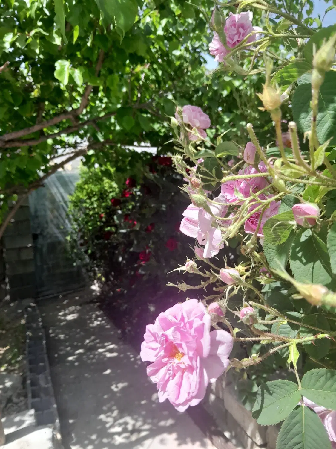 فروش زمین