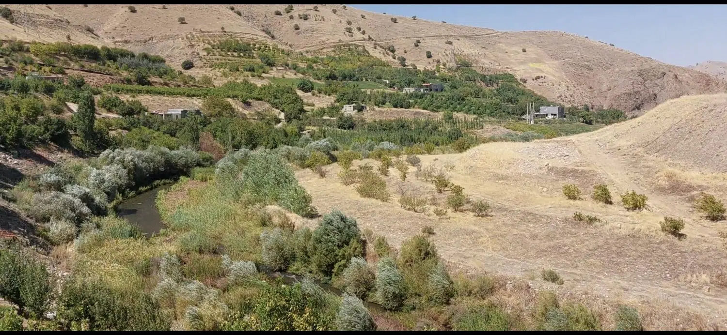 زمین کشاورزی دیم