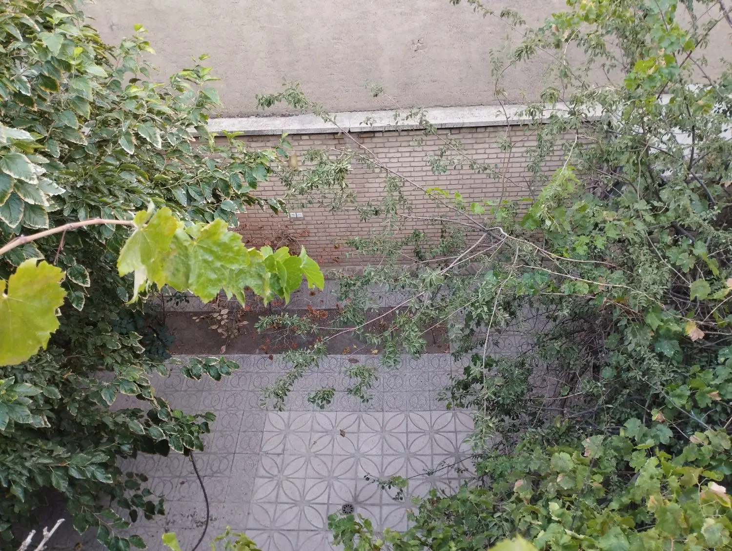 فروش خانه  200متری ویلایی