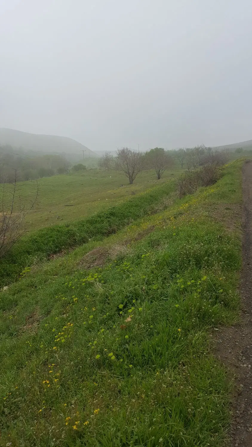 ۴۰۰ متر زمین داخل بافت در روستای ییلاقی آتانک