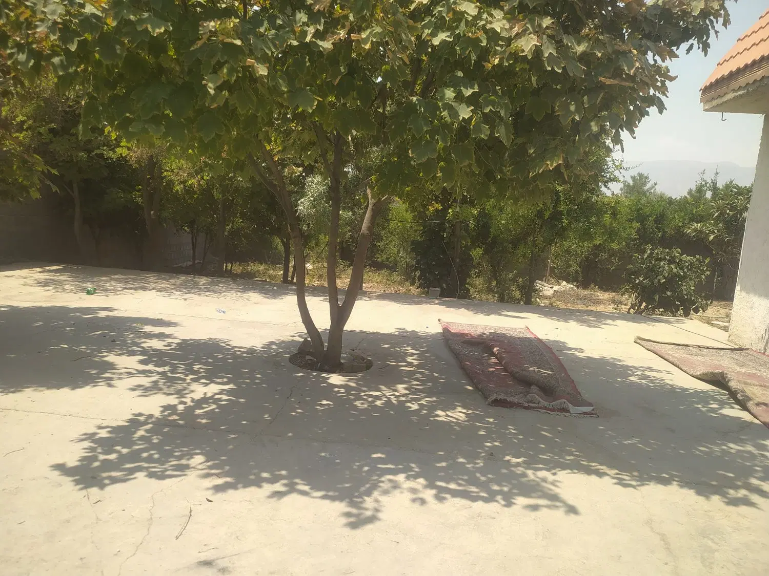 زمین مسکونی خاتونک کوچه حافظ