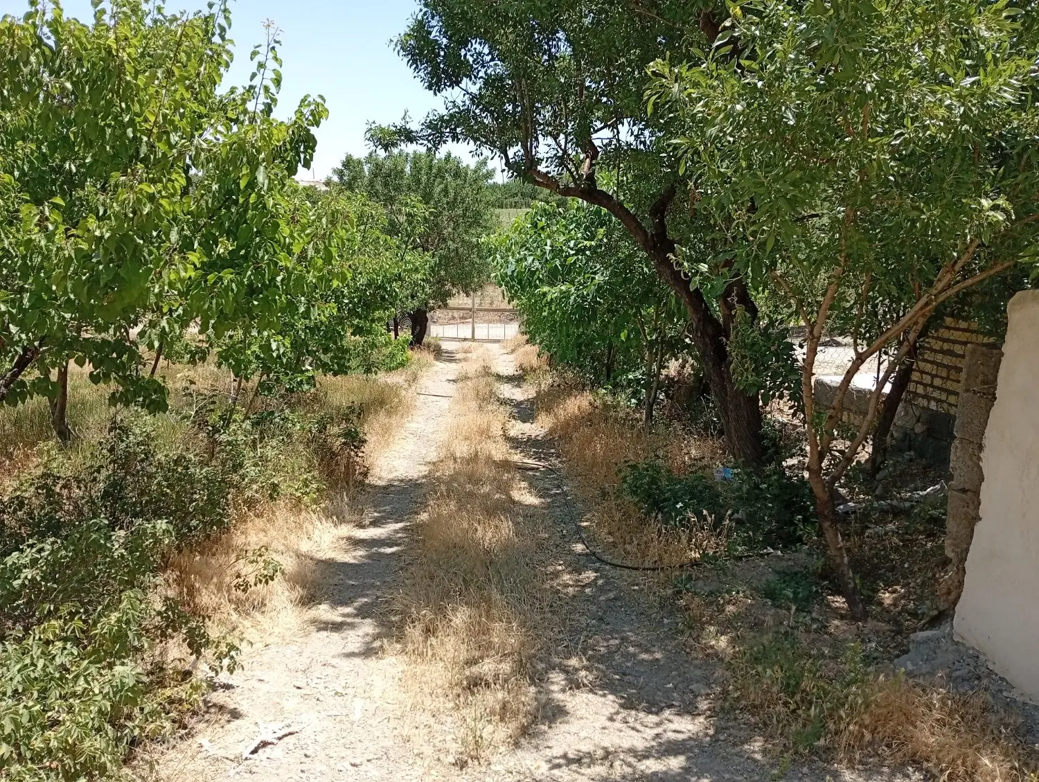 فروش باغ ویلا در زنجان ابتدای جاده بیجار