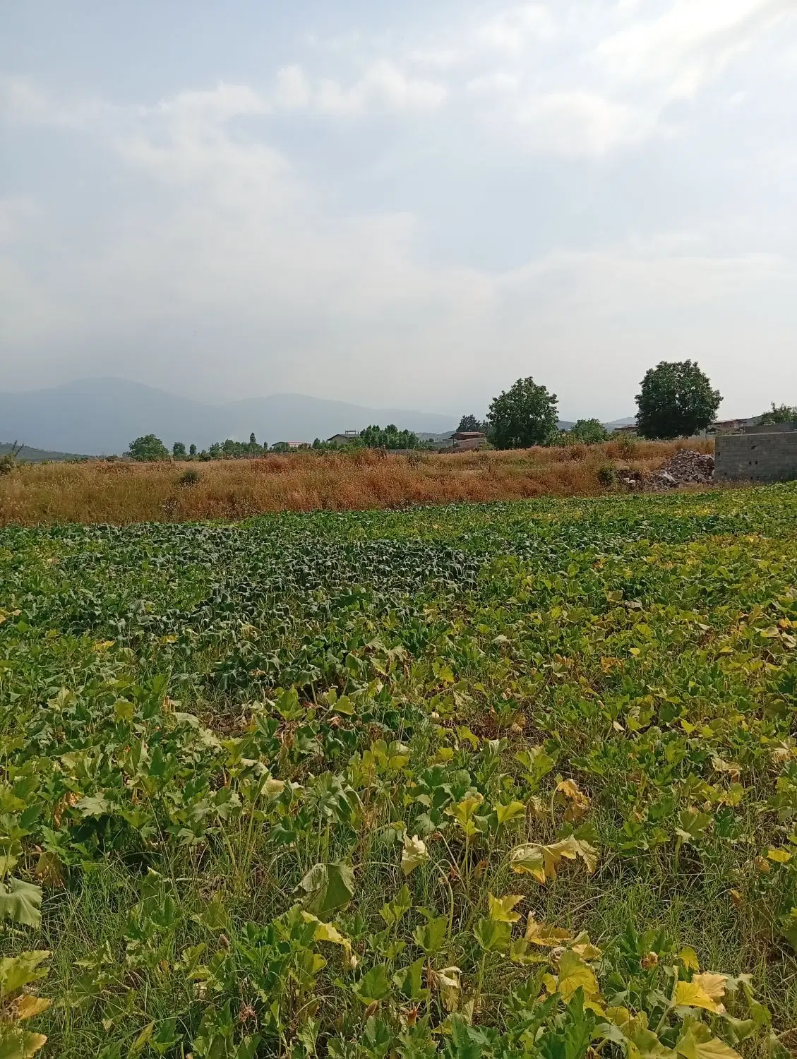 روستای اصفهانکلاته