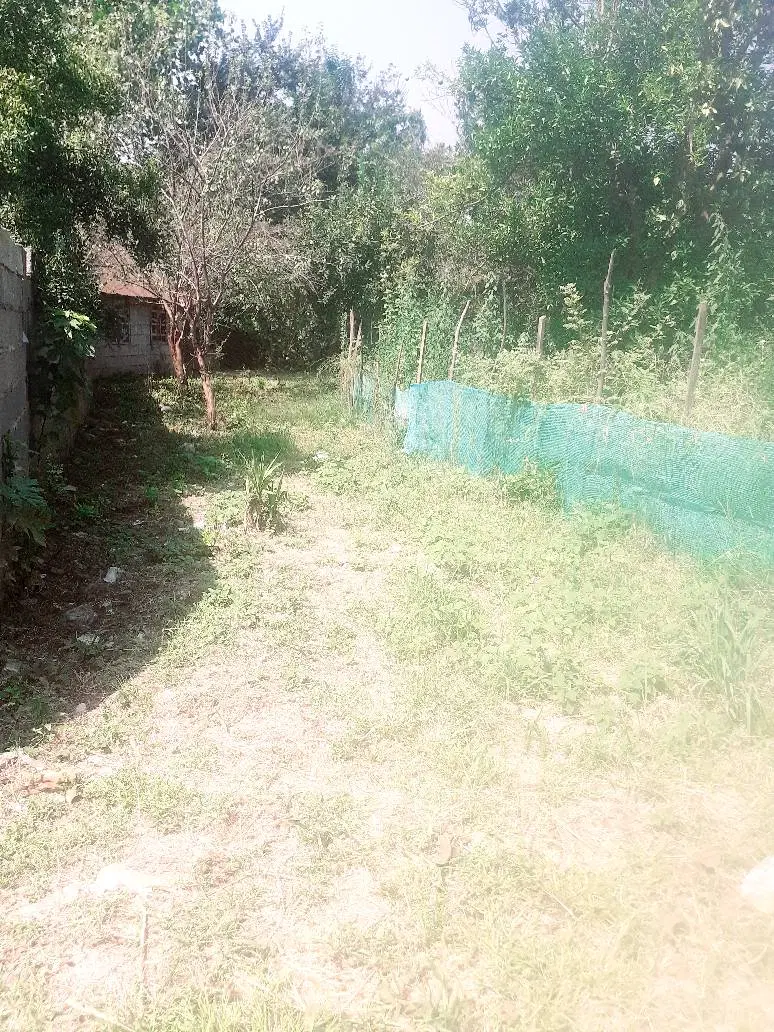 زمین مسکونی