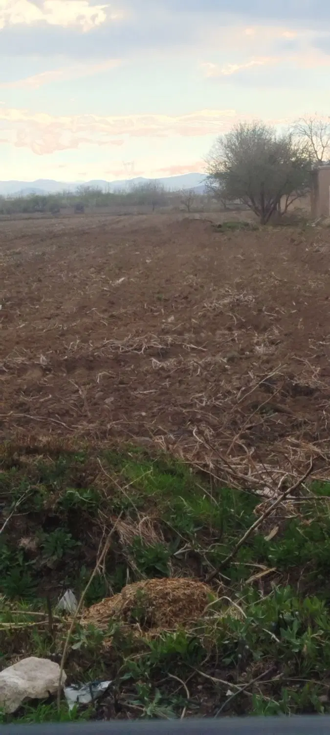 زمین خالی روستای قاریاغدی