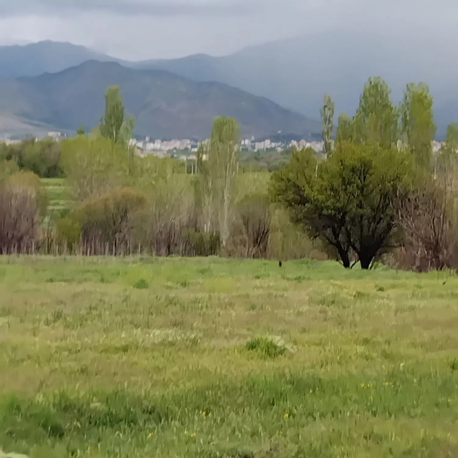 فروش زمین مناسب باغ و صنعتی