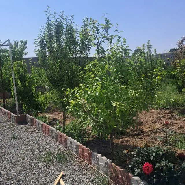 باغچه چهاردیواری