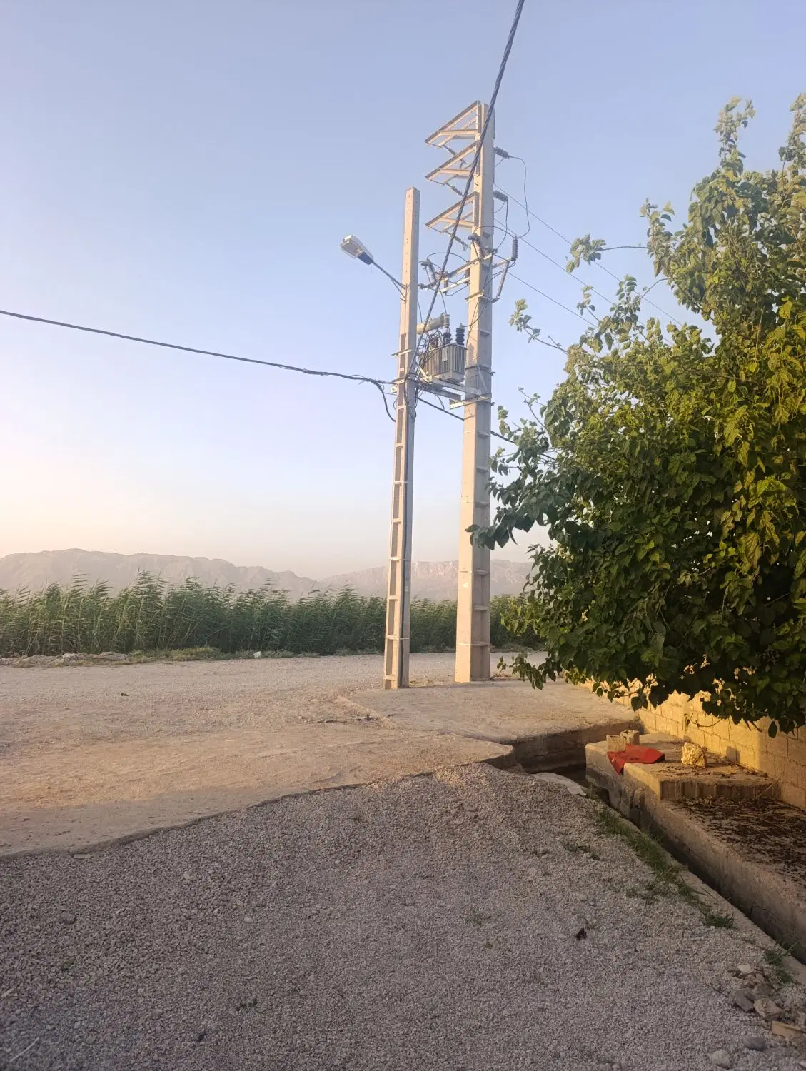 باغ (منصوریه)