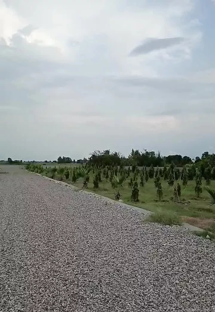 زمین شهرکی اقساط ۱۰ ماهه سنداماده تحویل محمودآباد