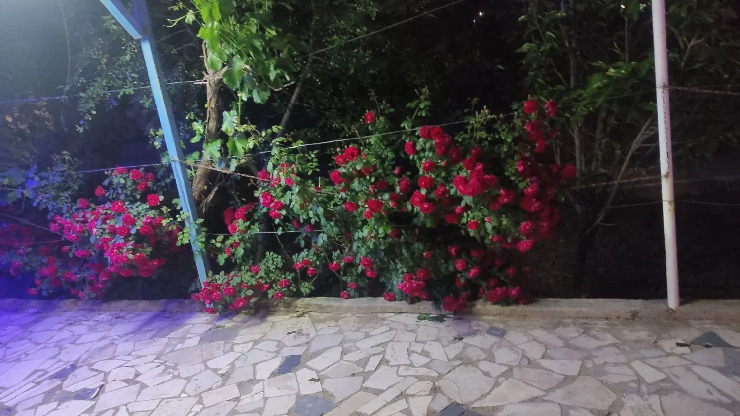 خانه ی ویلای شیک درمنطقه ی سرسبزو خوش اب وهوا