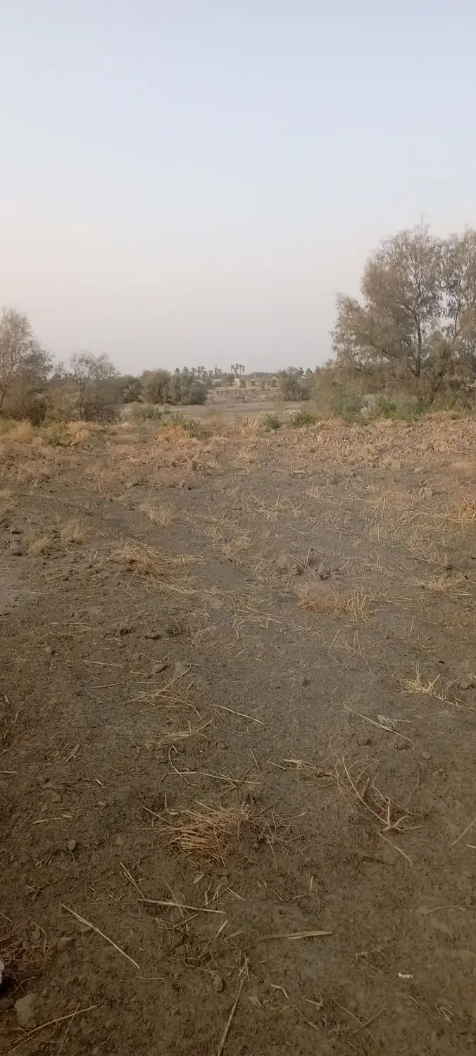 زمین فروشی