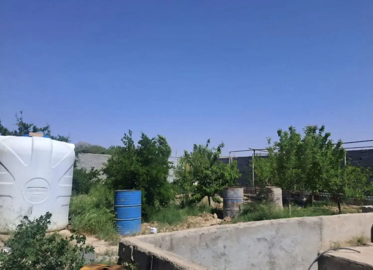 باغچه چهاردیواری شده پشت بیستک