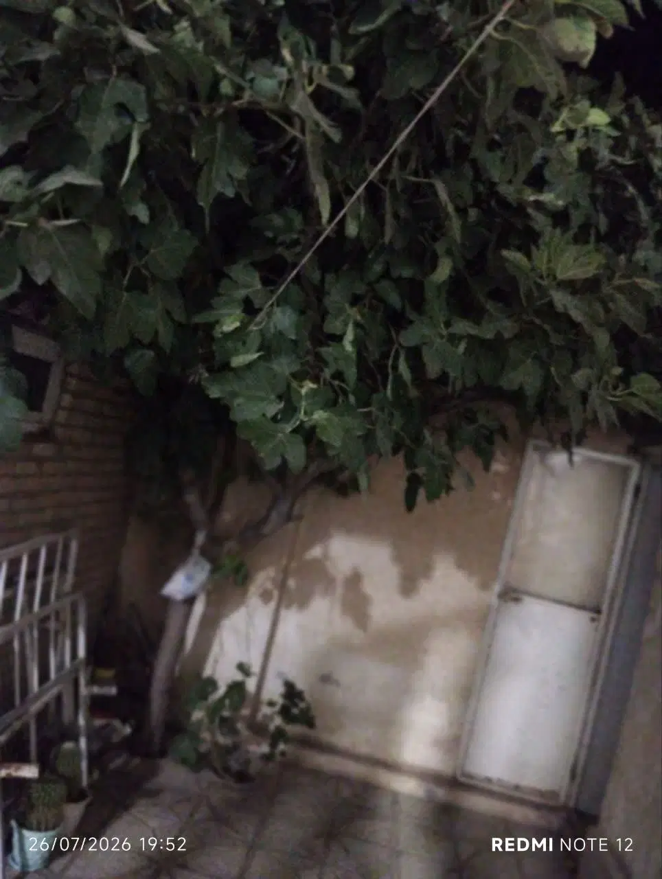 رهن واجاره