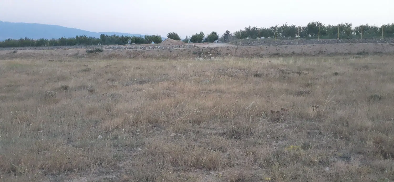 فروش زمین زراعی