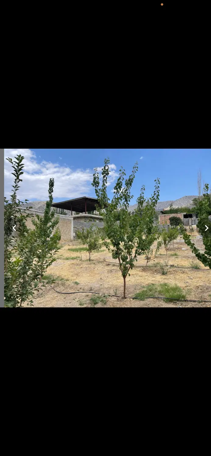 دلفارد باغ و زمین ویلایی