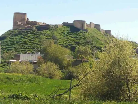 زمین کشاورزی قلعه تل