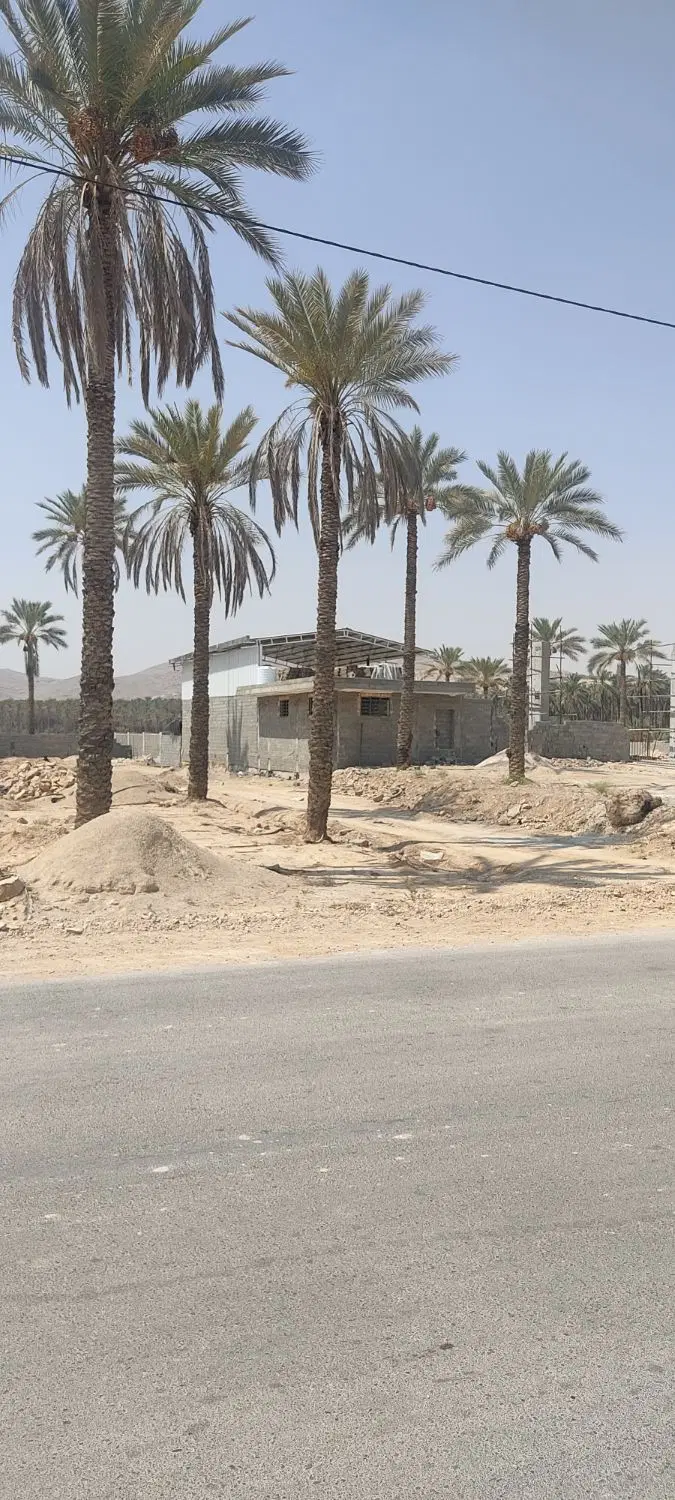فروش چند قواره سمت بیمارستان پیمانیه