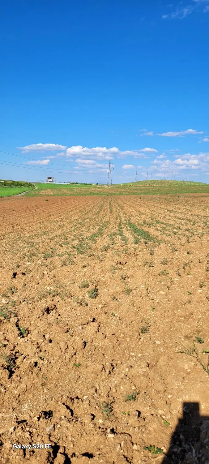 زمین خام  ابتدای جاده مریوان بعدازباربری شهنازی
