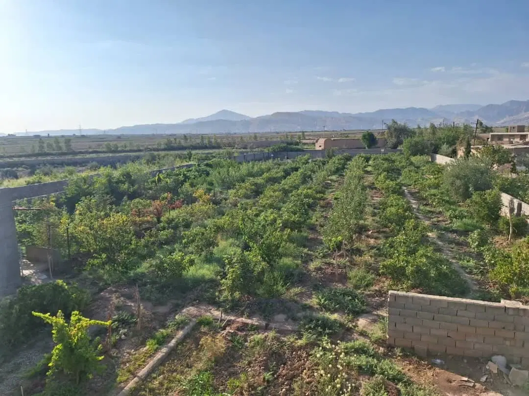 ۸۰ هزار متر زمین کشاورزی ( قابل معاوضه )