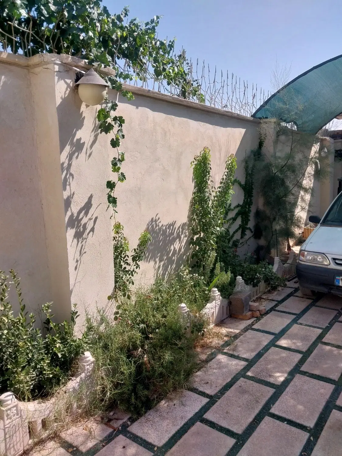 باغ و یلا یوسف رضا