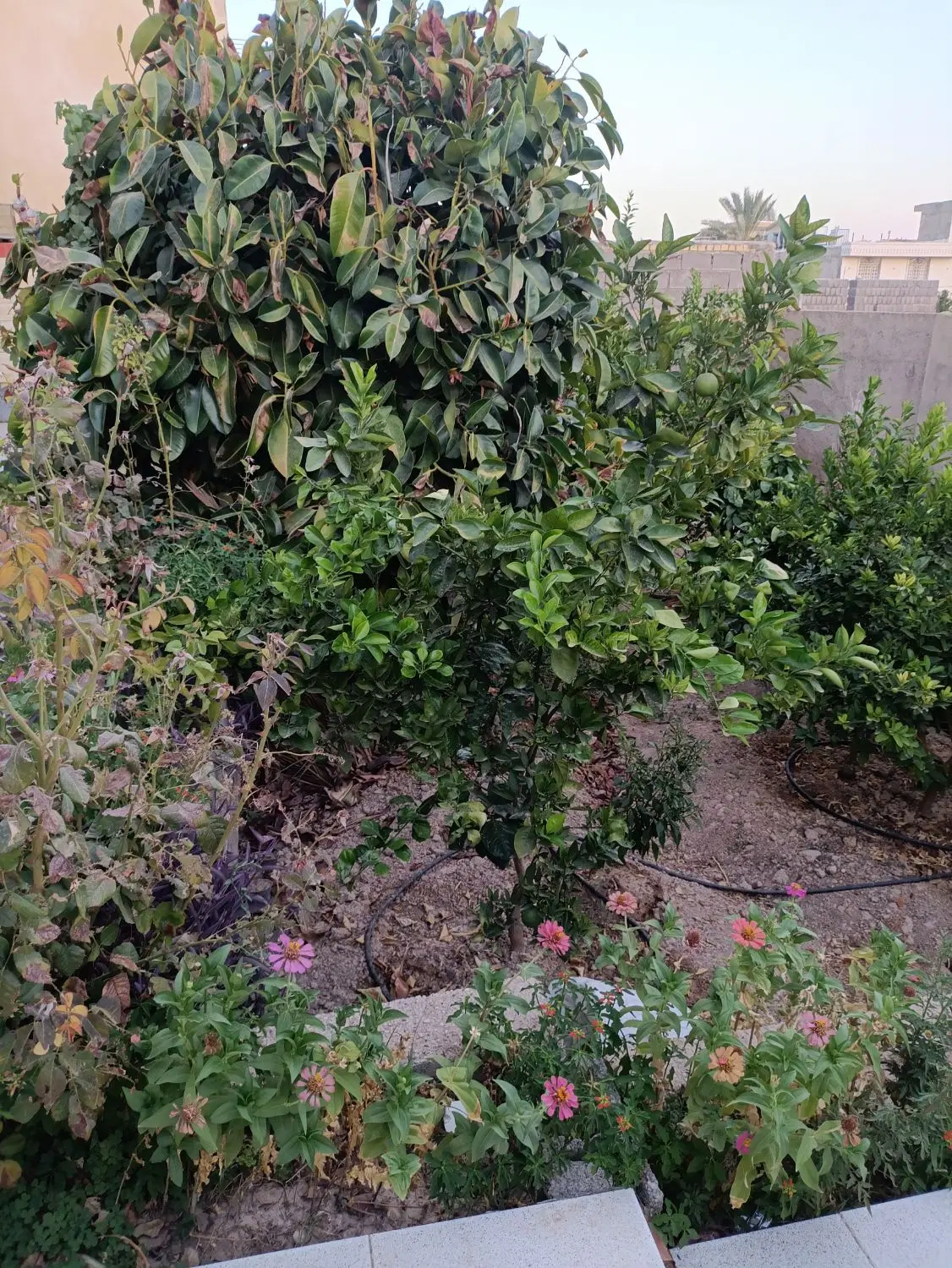 فروش خانه