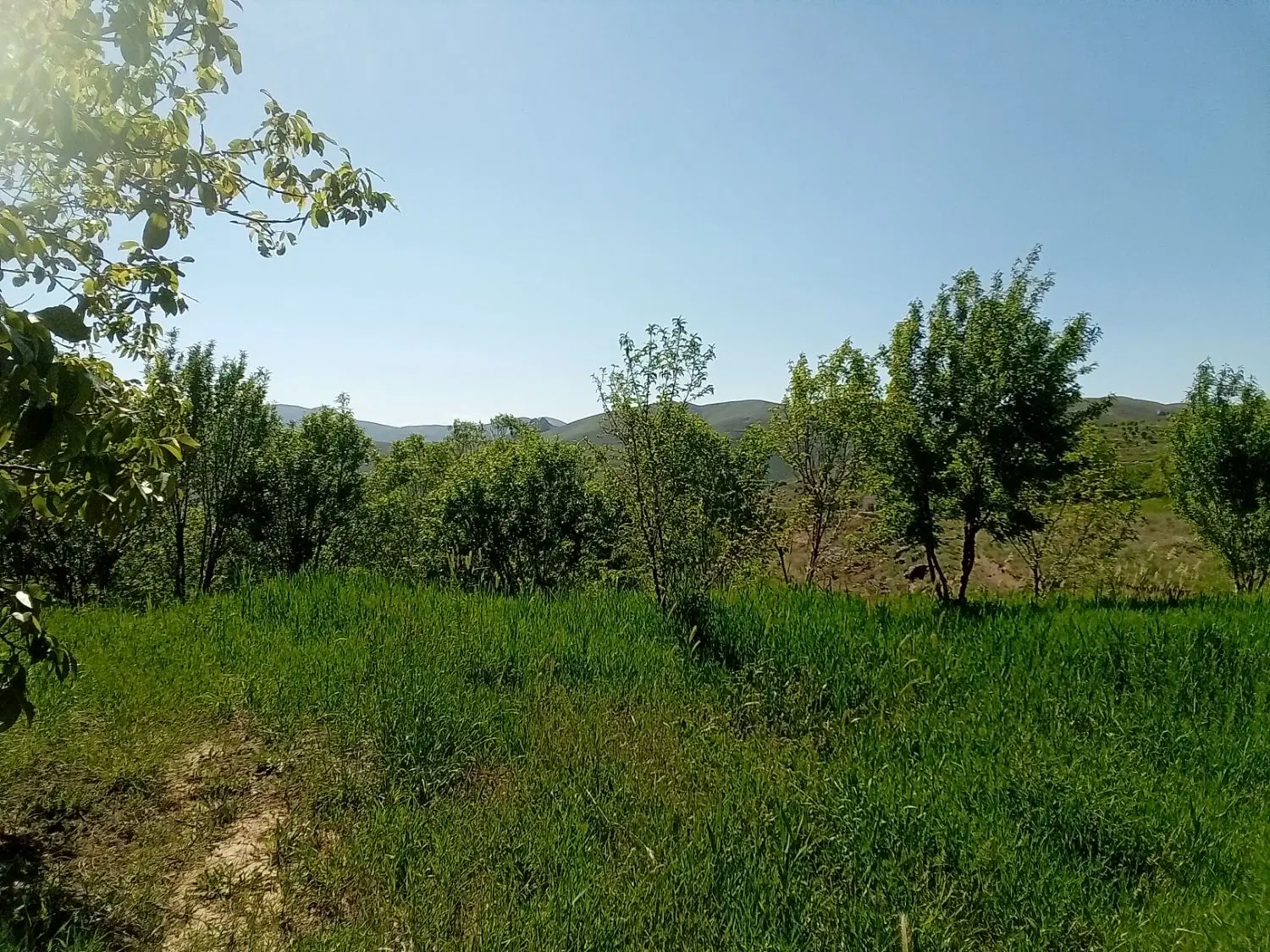 زمین سند دار... منطقه ییلاقی روستای گردشگری الولک