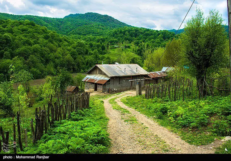 فروش۱۲هکتار زمین زراعی+۱ هکتار باغ به همراه آب