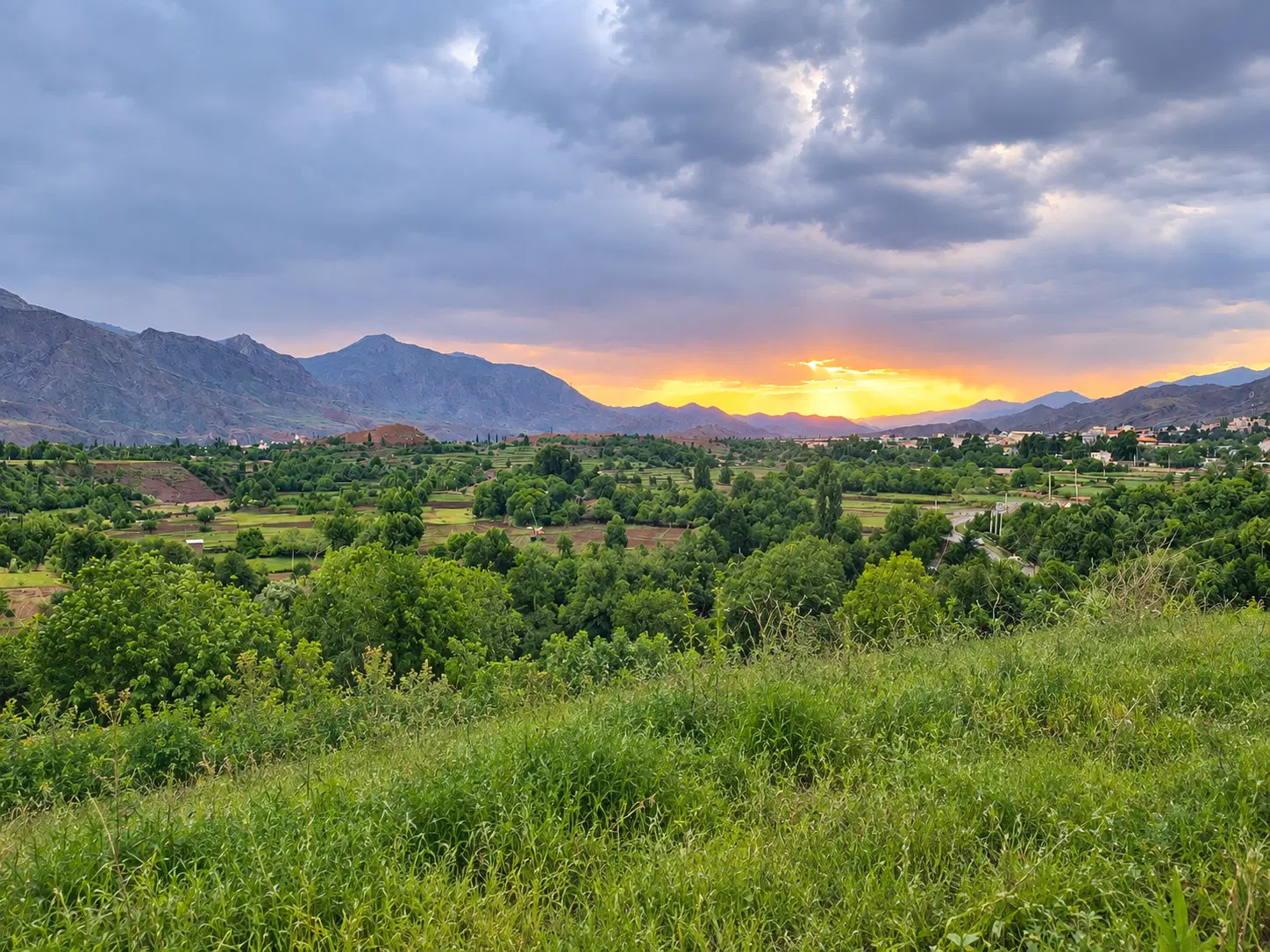 تهاتر با طلا ـ ماشین یا واحد در محدوده غرب تهران
