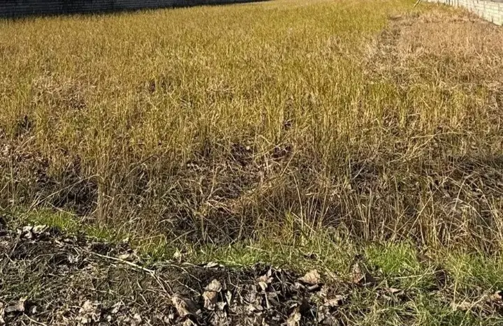 زمین شهرکی برای سرمایه‌گذاری وساخت کلبه