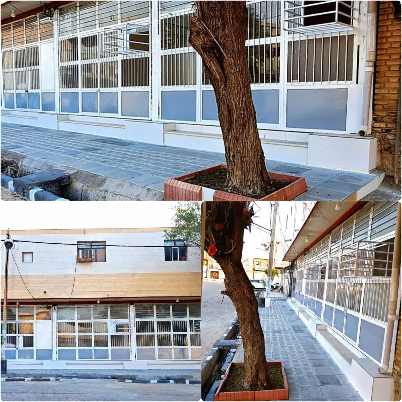 یک باب مغازه ۲۴ متری