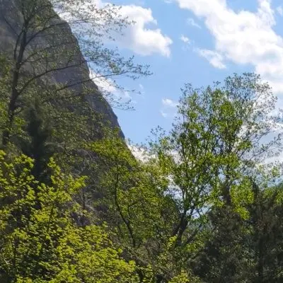 زمین روستای در بهترین نقطه کندوان
