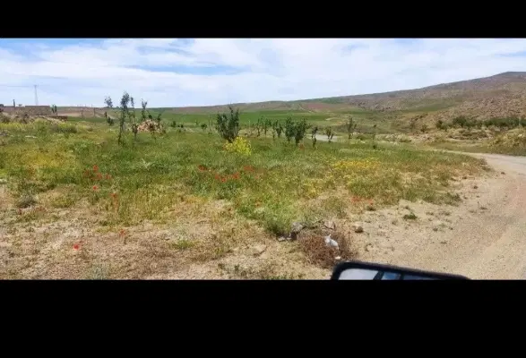 زمین باغی