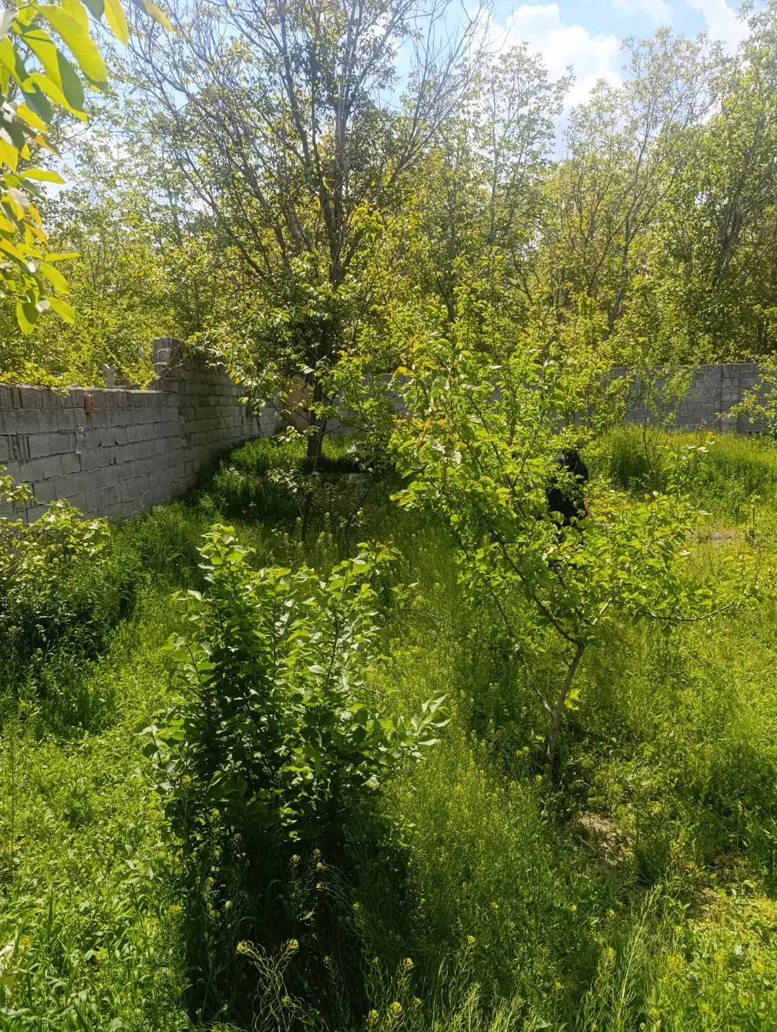 باغ در خلجان معاوضه با خودرو