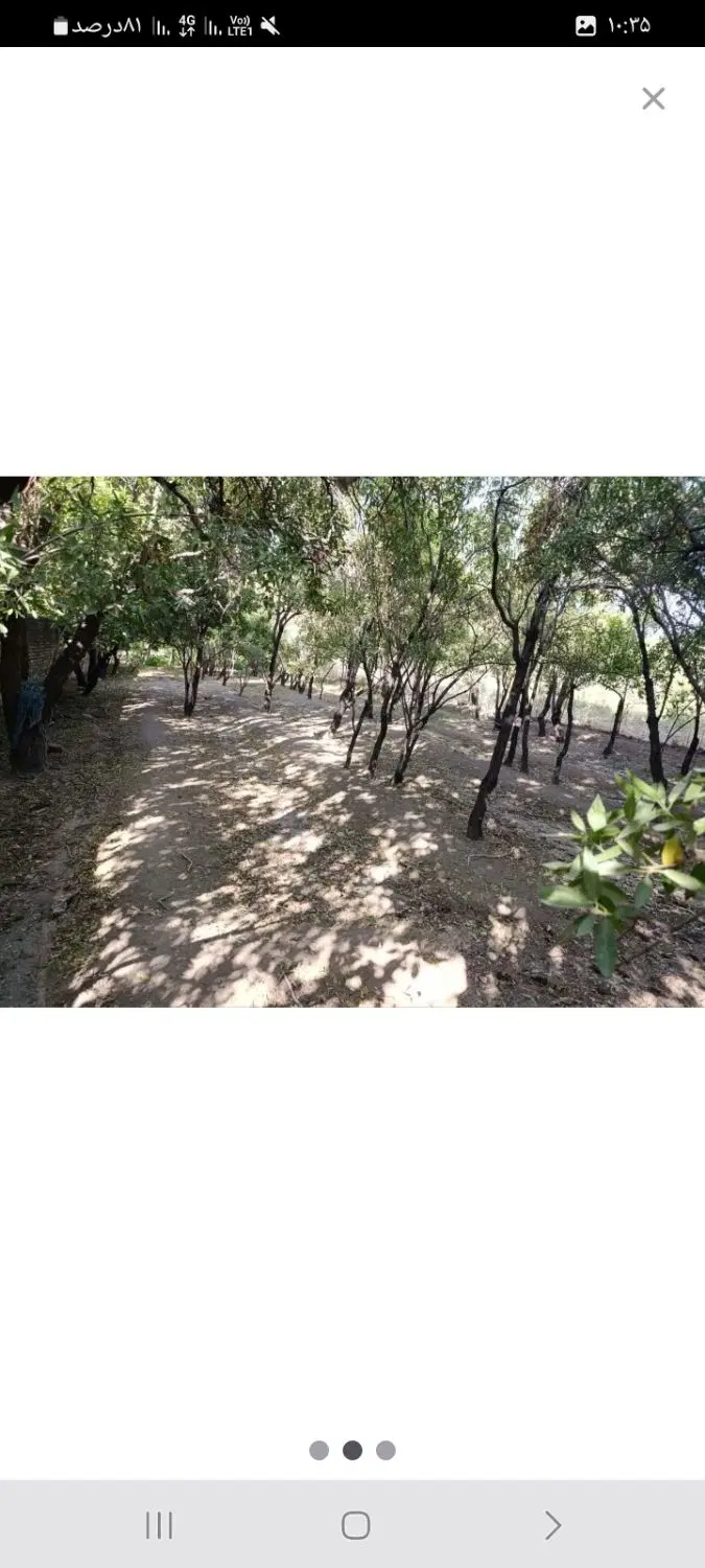دوقطعه زمین درروستای طینوج