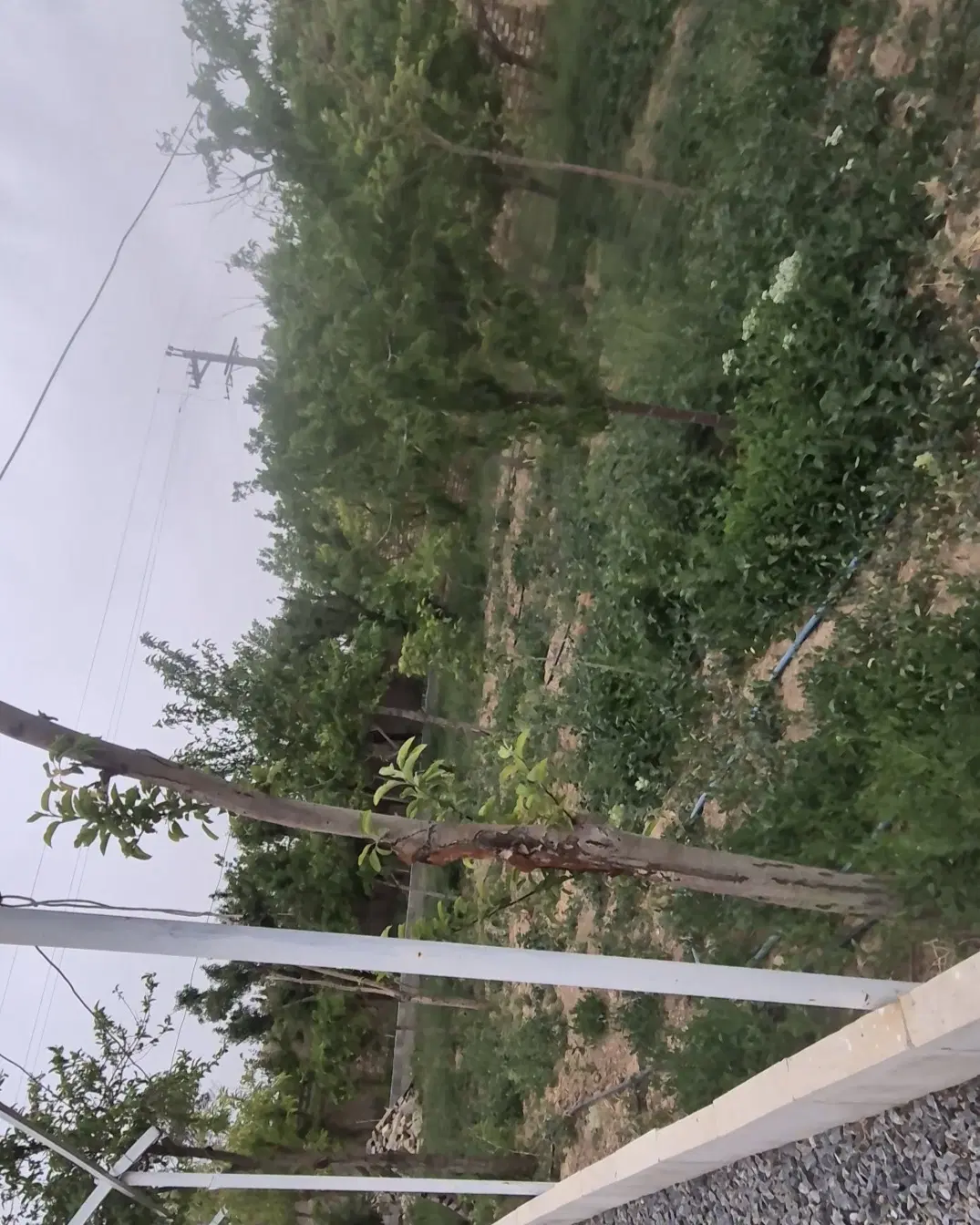 فروش زیرقیمت ۲۰۰۰مترویلای چهاردیواری