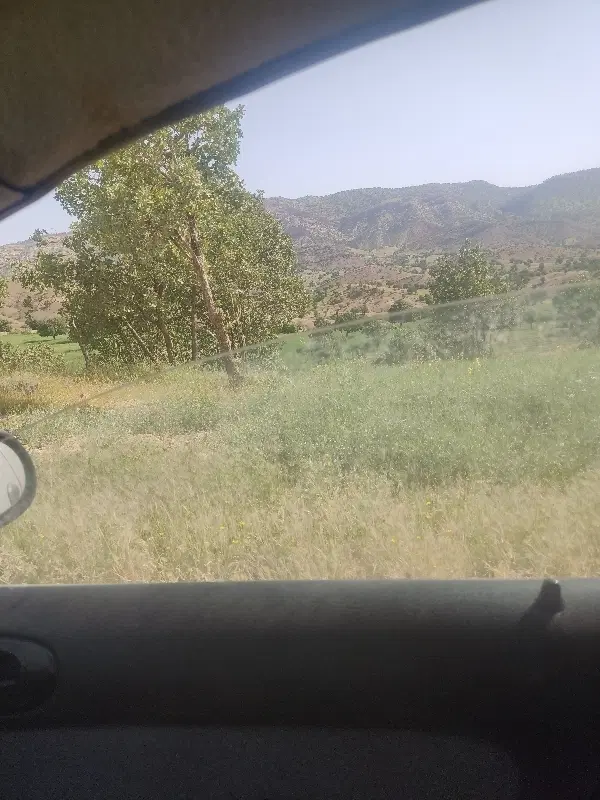 زمین دامداری