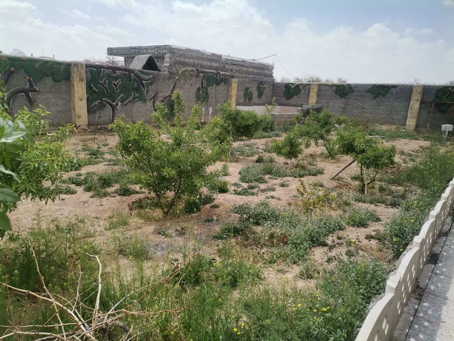 باغچه علی اباد