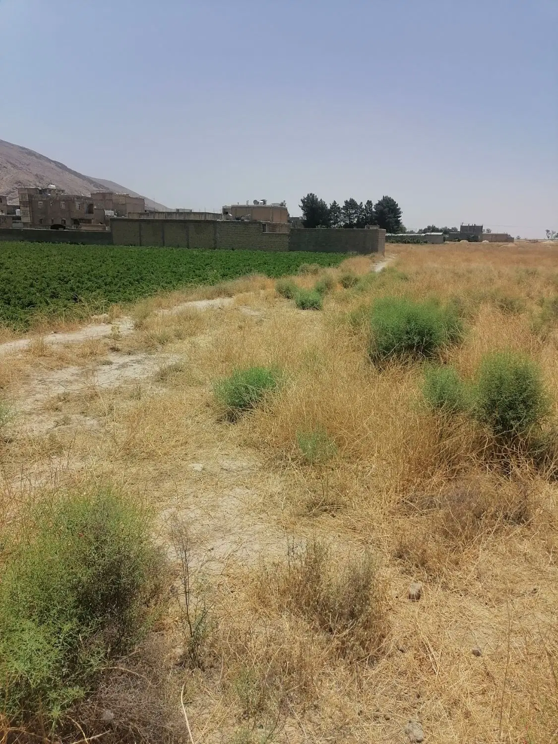 زمین