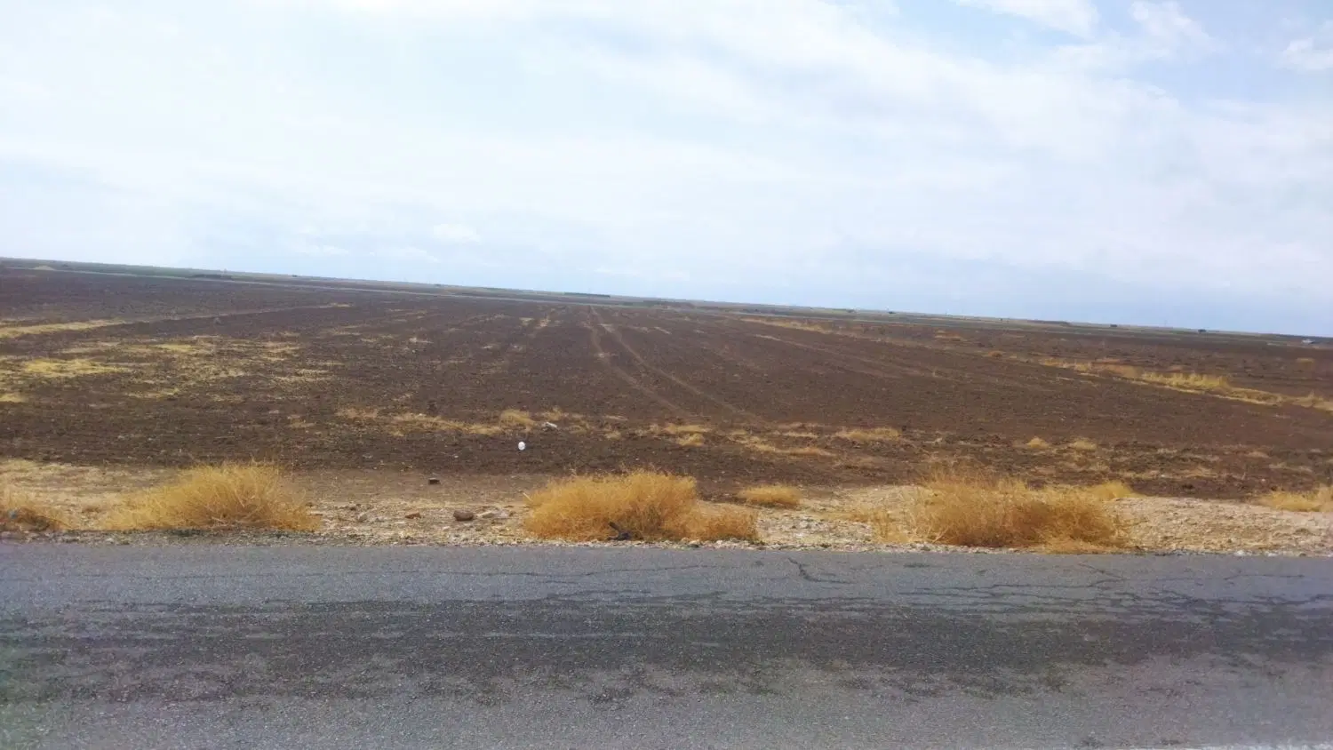 زمین کشاورزی