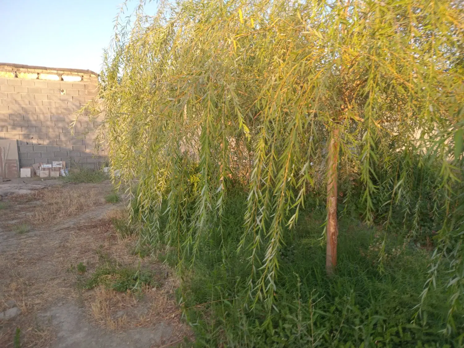 باغچه ۶۰۰ متر داخل مجتمع شاهنامه ۱۸
