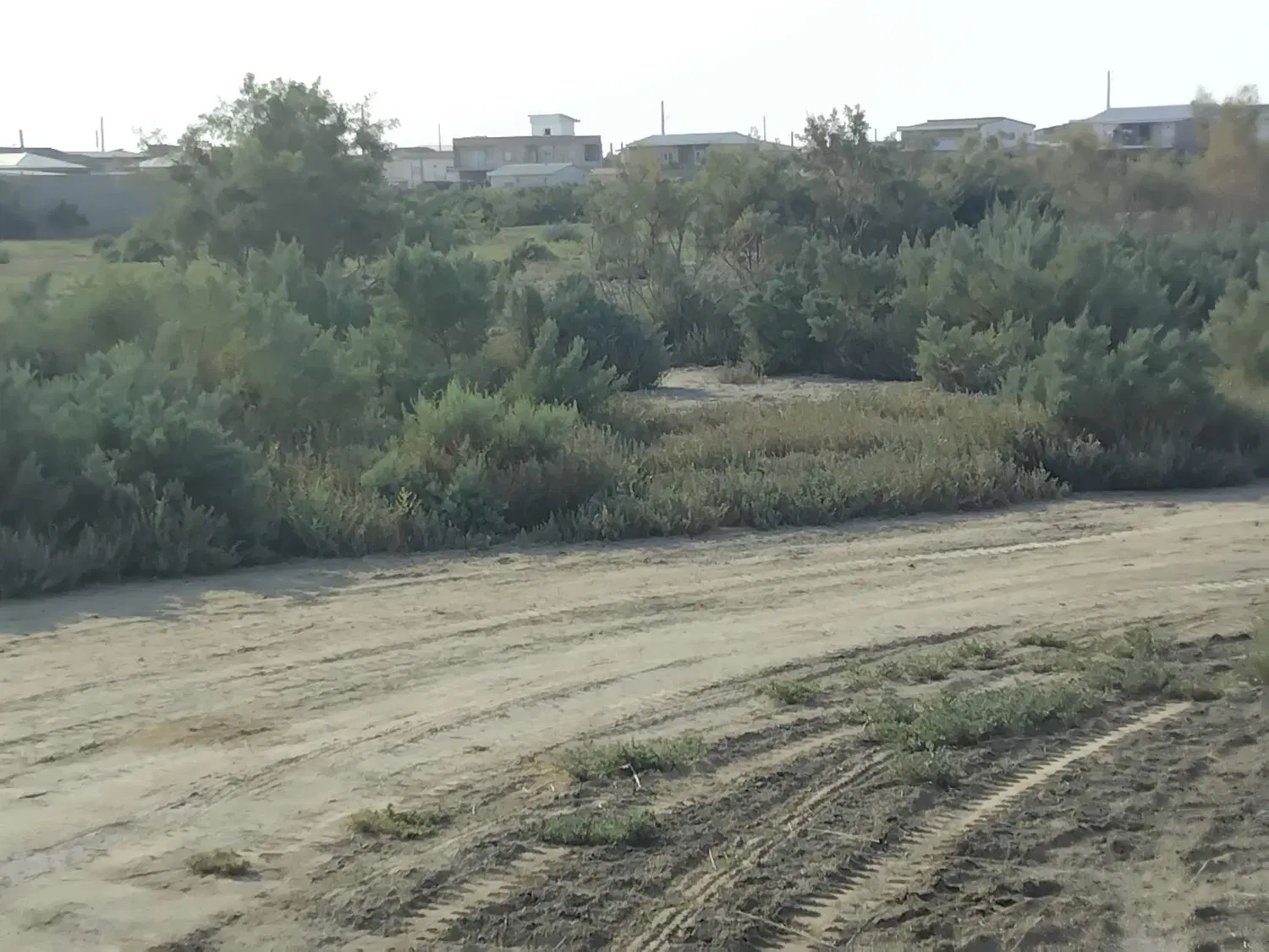 زمین مسکونی