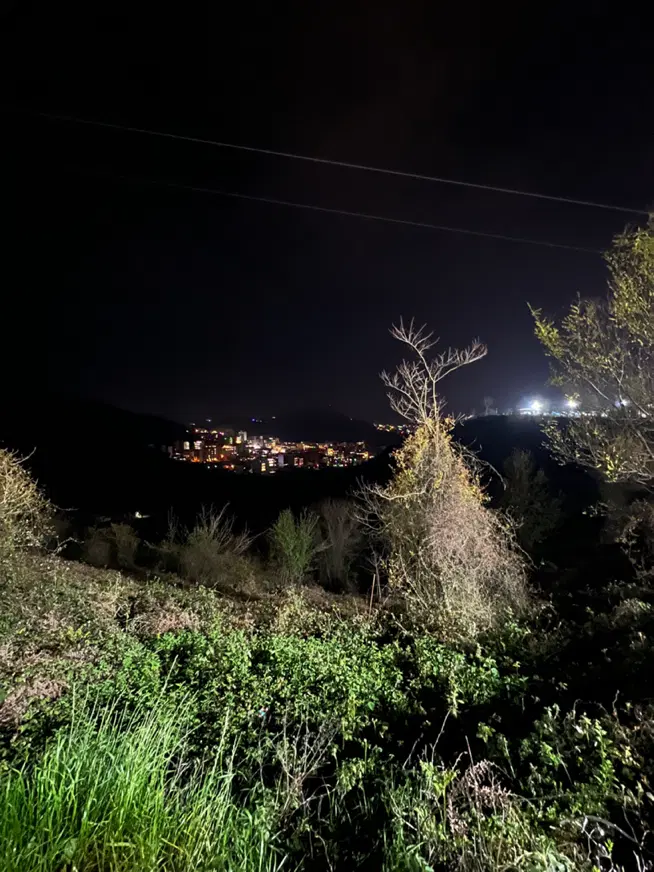 زمین کشاورزی به مساحت ۳۱ هکتار باغی دارای چاه