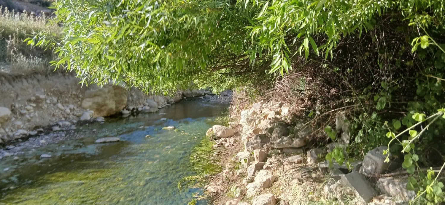 زمین عقیلی شهرک محمدی