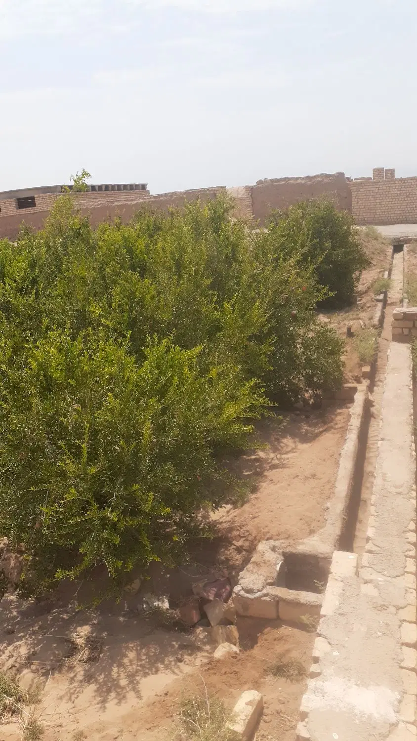 فروش زمین کشاورزی مناسب برای ساخت خانه‌باغ