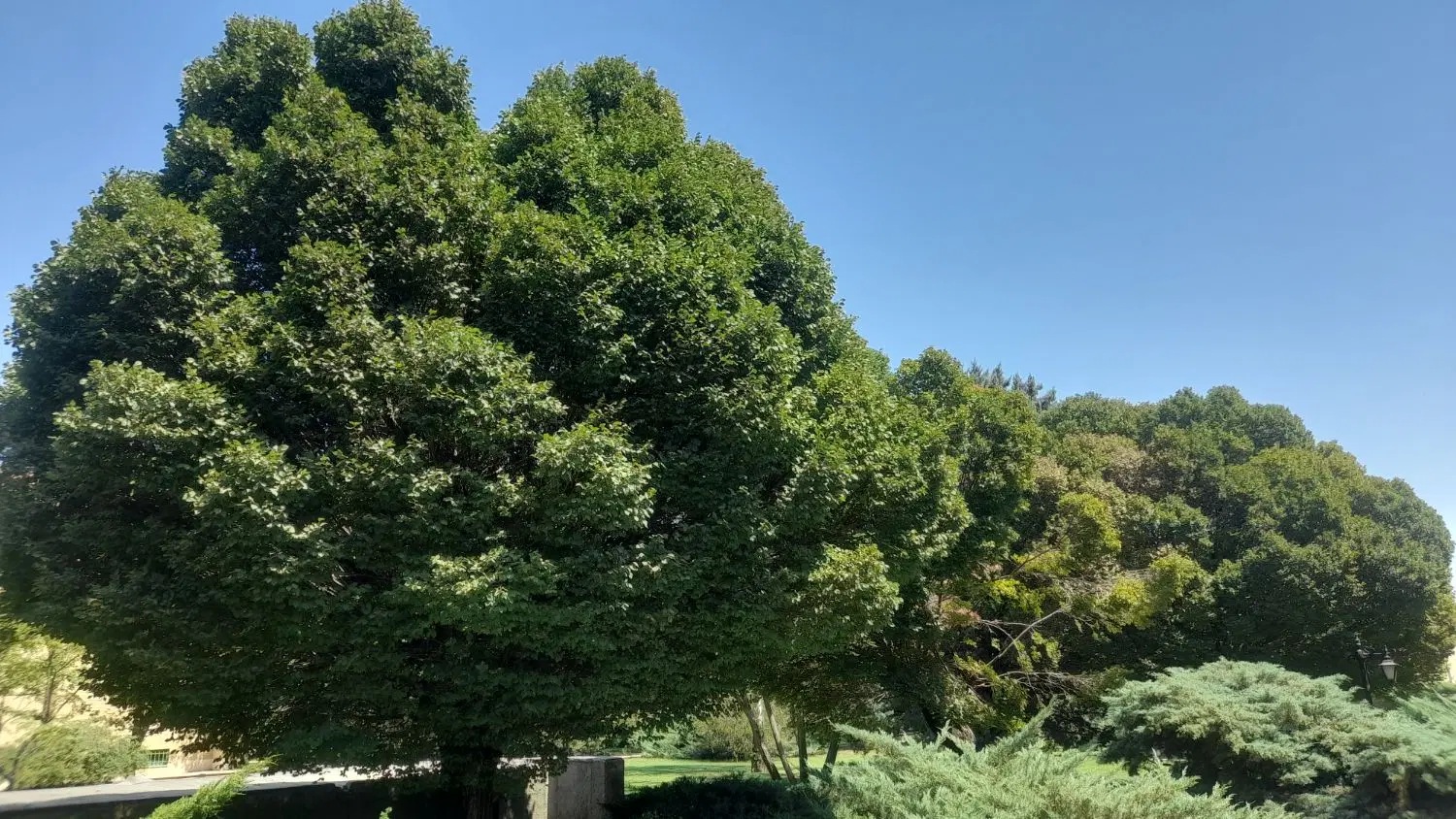 اجاره زمین کشاورزی