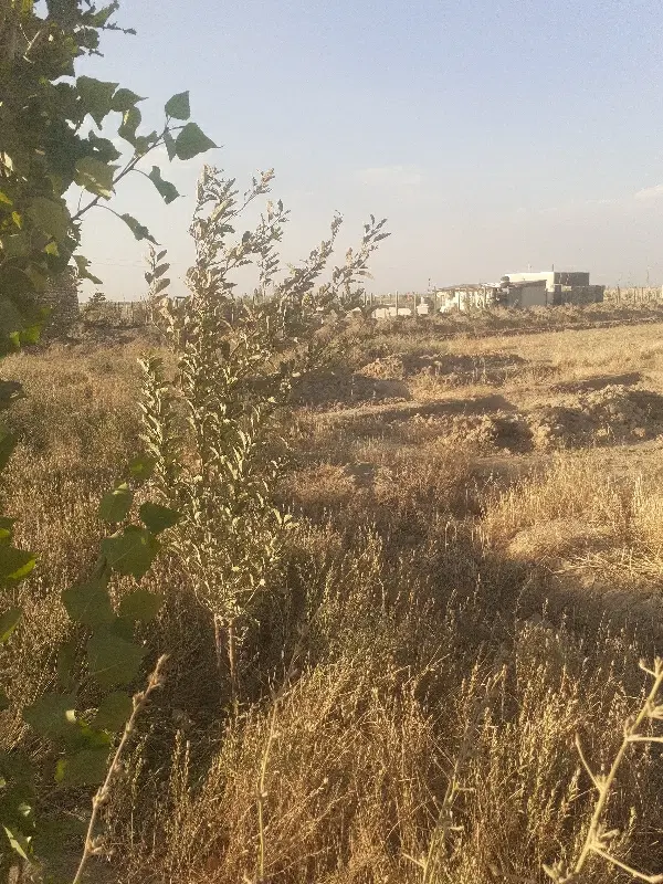 زمین کشاورزی ۵۰۰متر