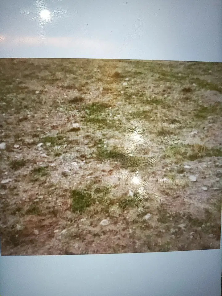اجاره زمین کشاورزی نجم اباد۷هکتار۳۰ساعت