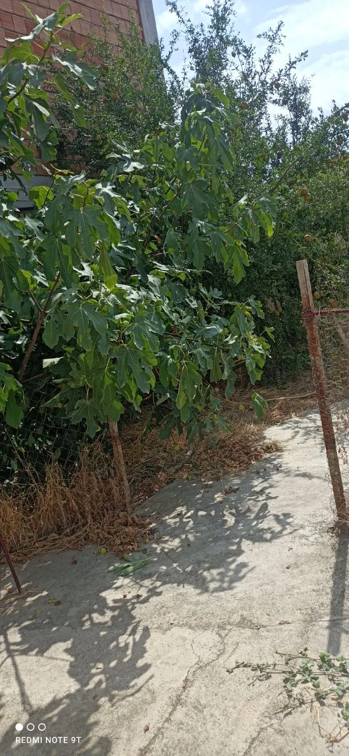 زمین جوادالائمه